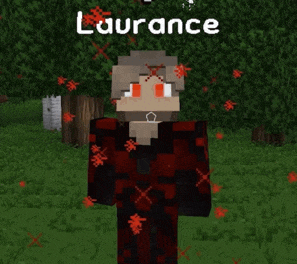 a minecraft character named laurence is standing in a grassy field