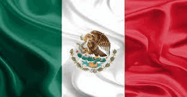 a close up of a mexican flag with a eagle on it .