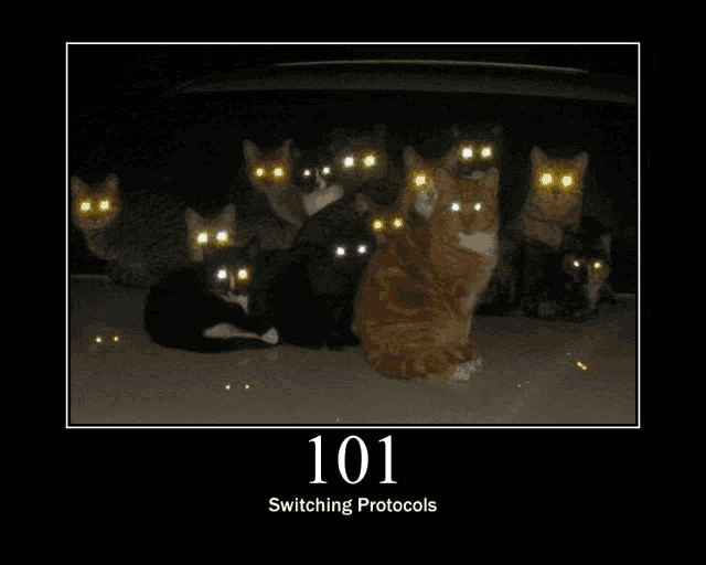 a group of cats with glowing eyes and the number 101 on the bottom