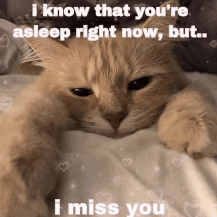 a cat laying on a bed with the words i know that you 're asleep right now but