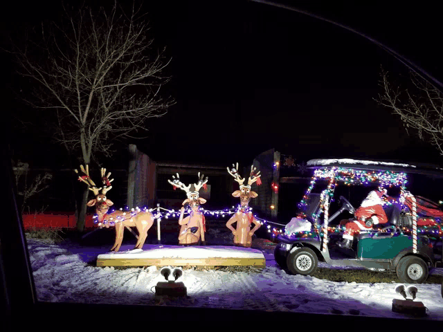 santa claus is driving a golf cart decorated with christmas lights and reindeer