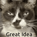 a close up of a cat 's face with the words `` great idea '' written below it .