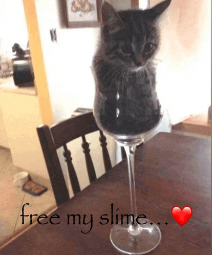 a cat is sitting inside of a wine glass with the words free my slime below it