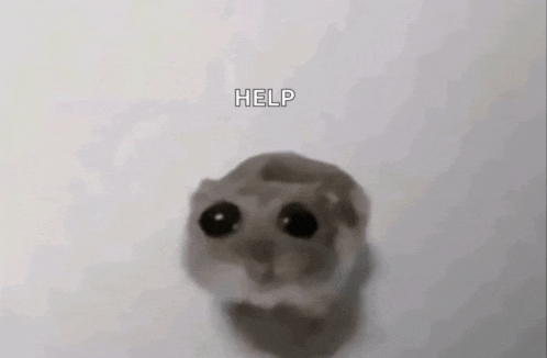 a hamster is sitting on a white surface with the word help written on the bottom .