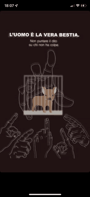 a phone screen shows a picture of a dog in a cage and says l' uomo e la vera bestia