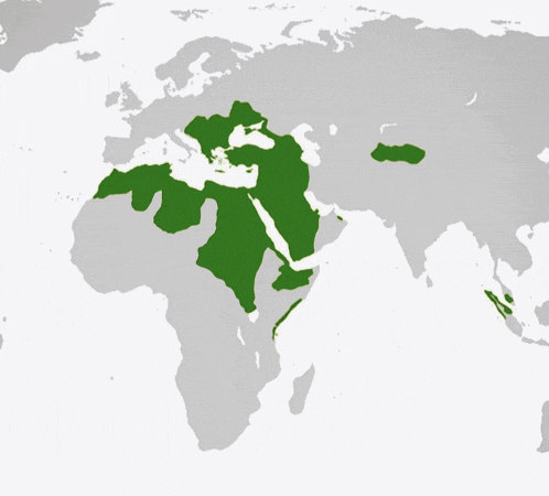 a map of the world with the middle east highlighted green