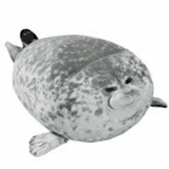 a stuffed seal is sitting on a white surface on a white background .