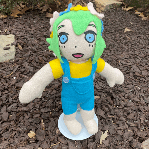 a stuffed doll with green hair and blue eyes is standing in the dirt