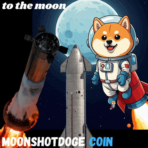 a poster with a dog on a rocket and the words moonshotdoge coin at the bottom