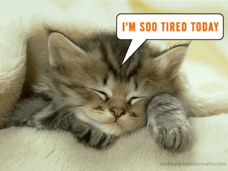 a kitten is sleeping with a speech bubble saying i 'm soo tired today