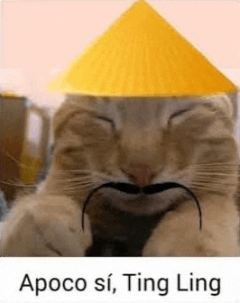 a cat with a hat and mustache is wearing a yellow conical hat .