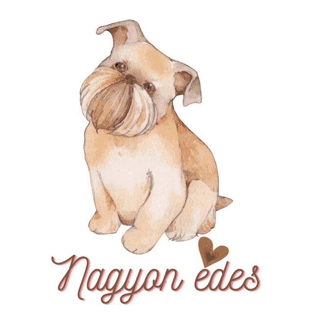 a watercolor drawing of a dog with the words nagyon edes written below it