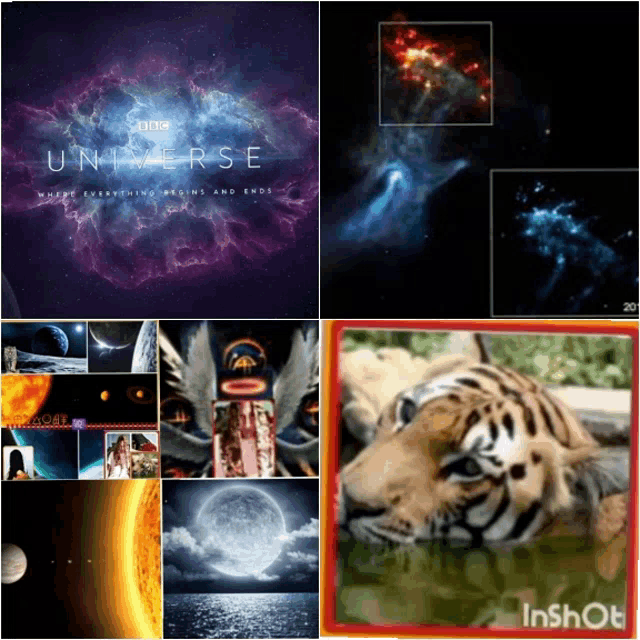 a collage of images including a tiger and the word universe