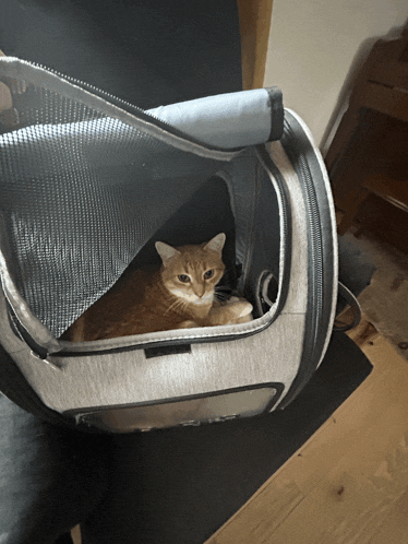 a cat is sitting inside of a gray and blue carrier