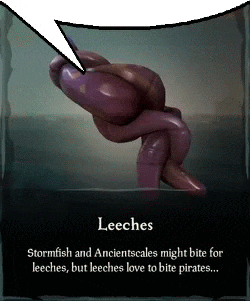 a speech bubble says leeches stormfish and ancientscales might bite for leeches