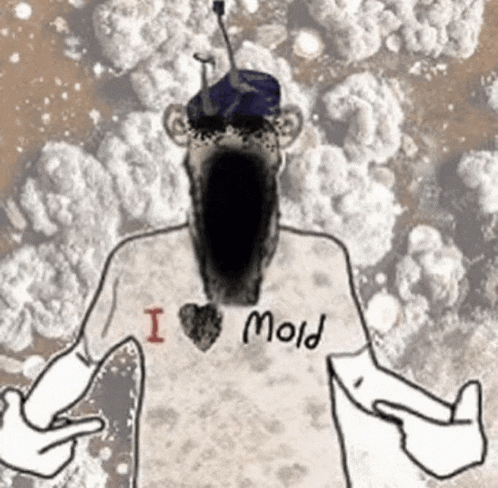 a cartoon of a man with a beard wearing a shirt that says `` i love mold '' .