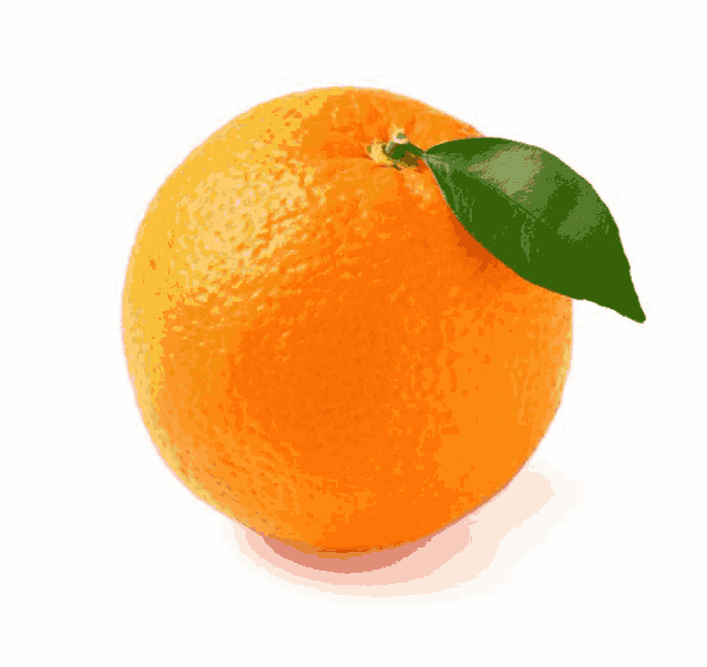 a single orange with a green leaf on a white background