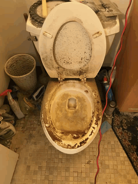 a dirty toilet sits in a bathroom surrounded by cleaning supplies and a basket