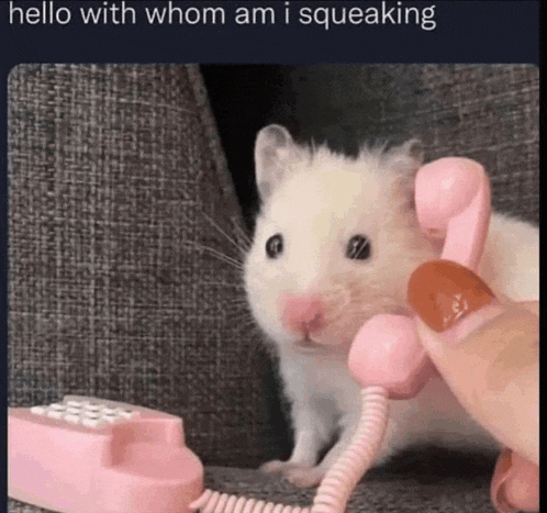 a hamster is talking on a pink phone with a person .