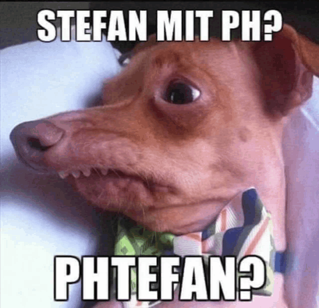 a picture of a dog wearing a bow tie with a caption that says stefan mit ph phtefan