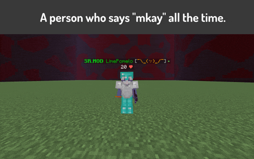 a person who says " mkay " all the time is standing in a field