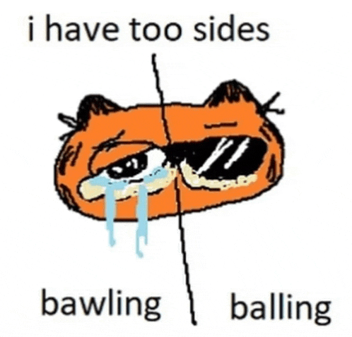 a cartoon of garfield wearing sunglasses with the words i have too sides bawling and balling .