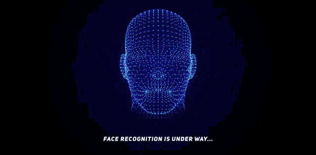 a computer generated image of a face being recognized