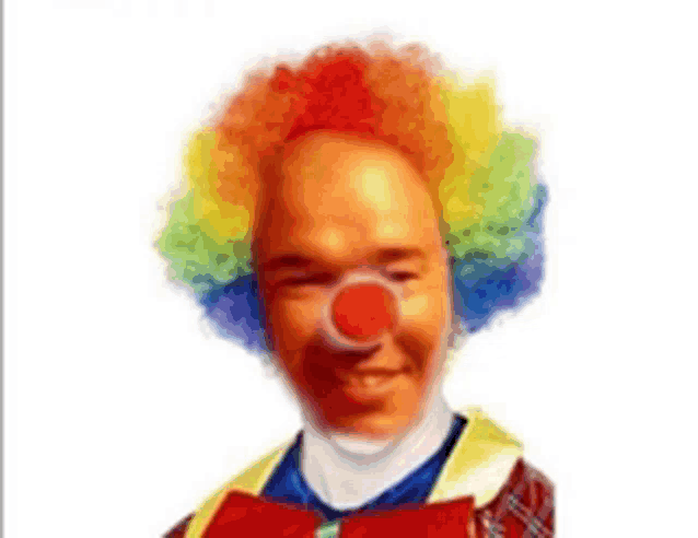 a man dressed as a clown with a red nose and colorful wig