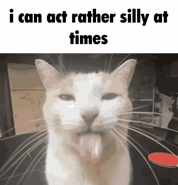 a picture of a cat with its tongue hanging out and the caption i can act rather silly at times