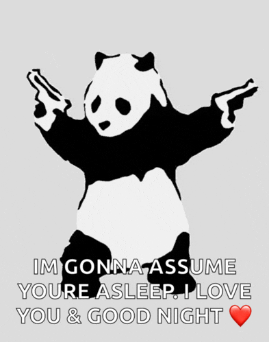 a panda bear holding two guns with the words im gonna assume youre asleep i love you and good night