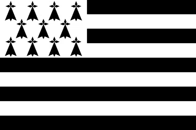 a black and white flag with a pattern of triangles and crosses on a white background .