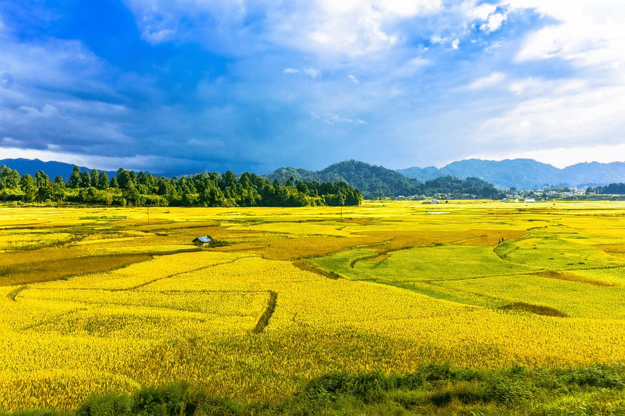 Experiential Ziro Valley Tour Package Image