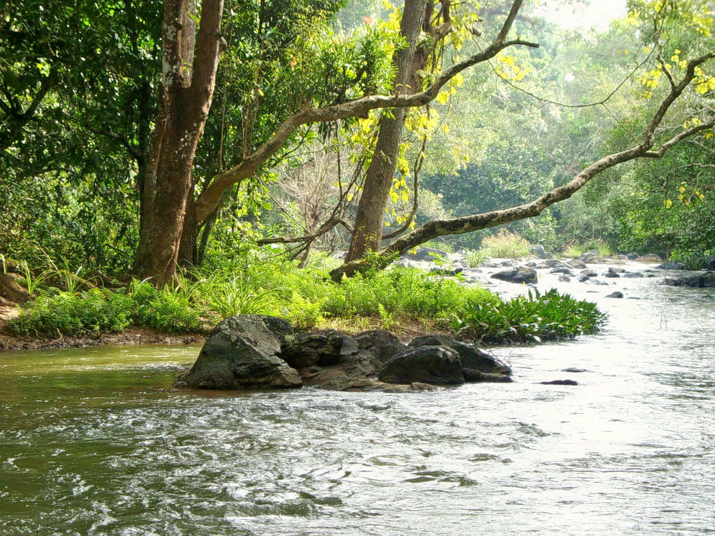 Kuruva Island