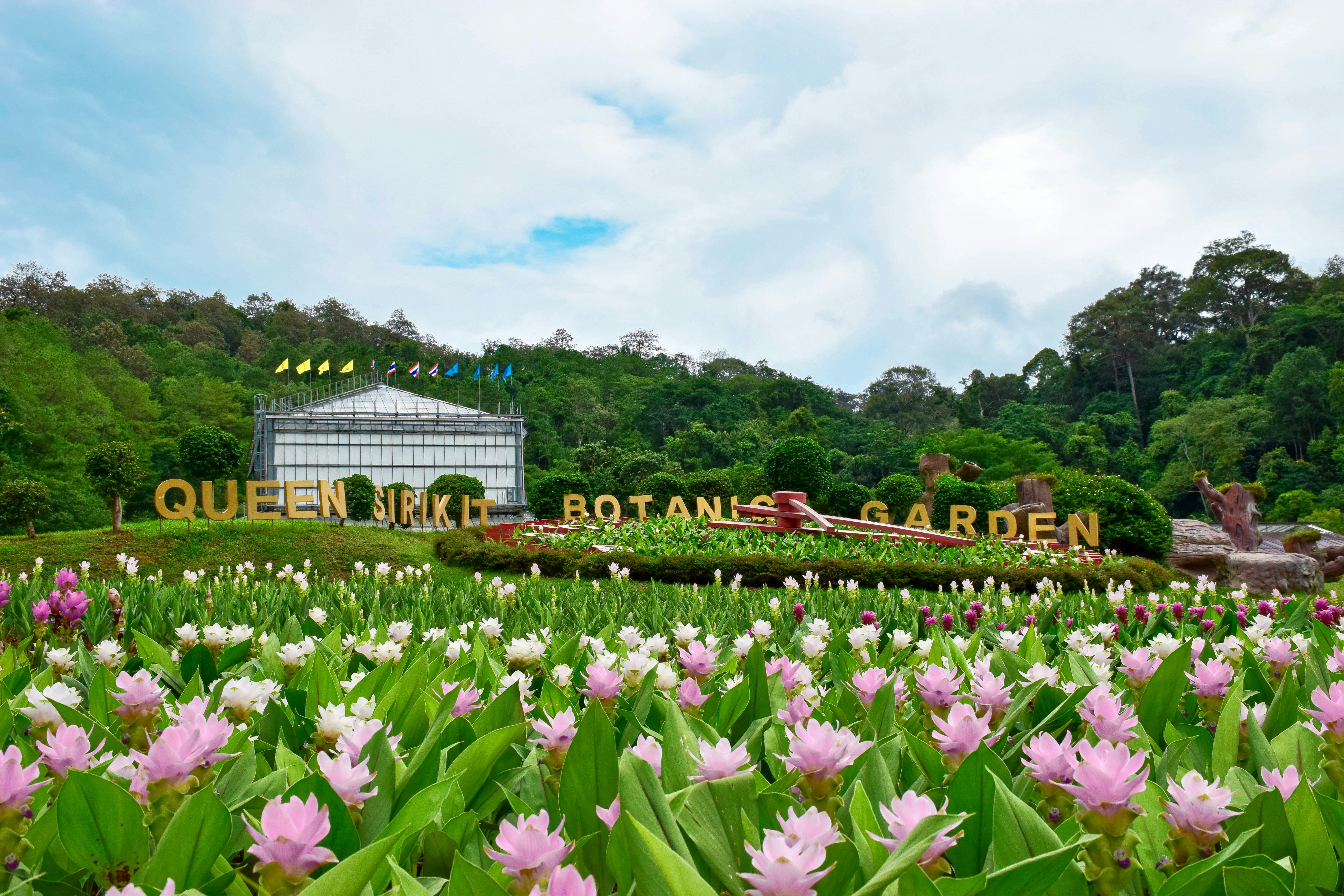 Queen Sirikit Botanic Garden