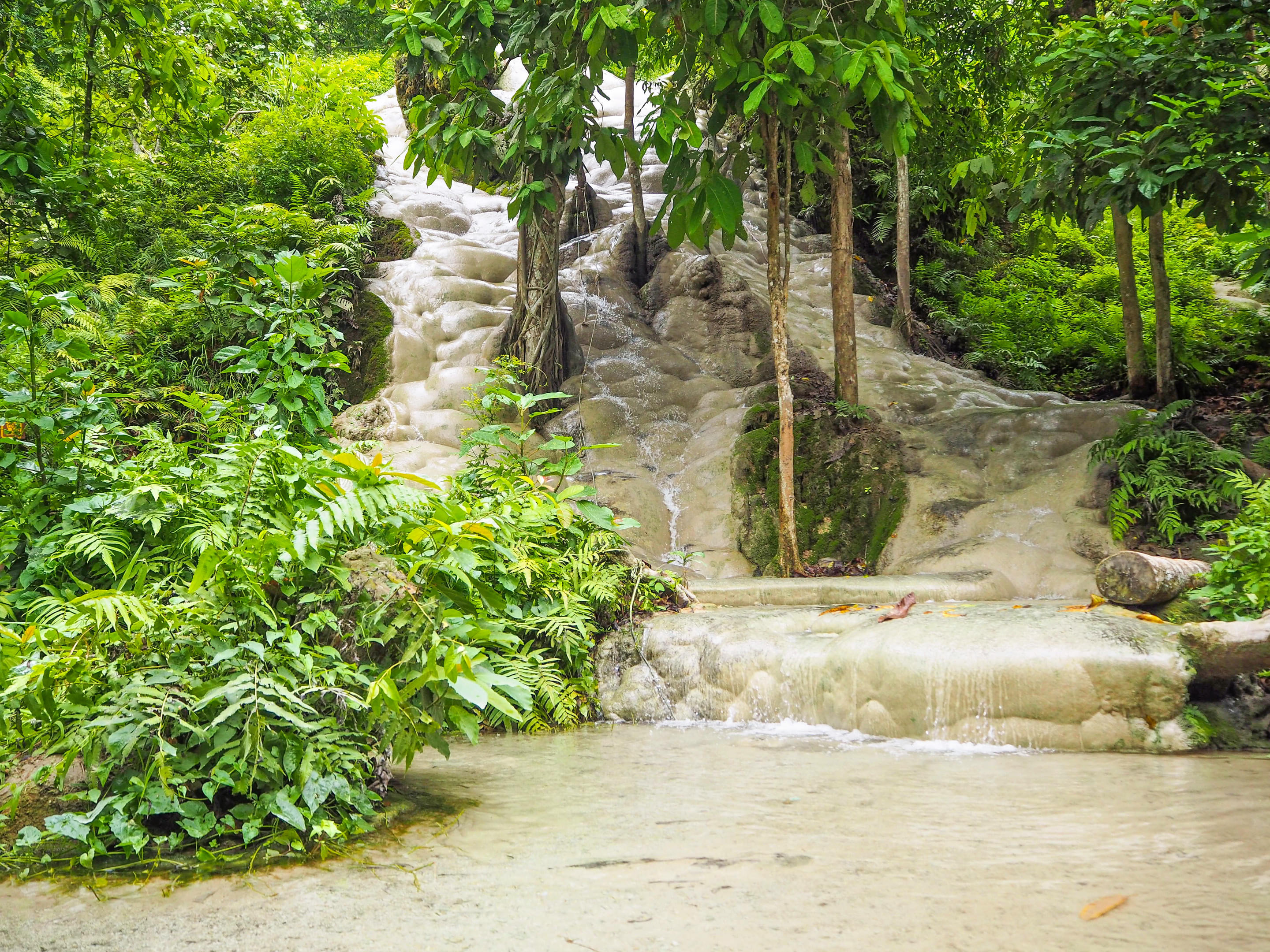 Bua Tong Sticky Waterfall Overview