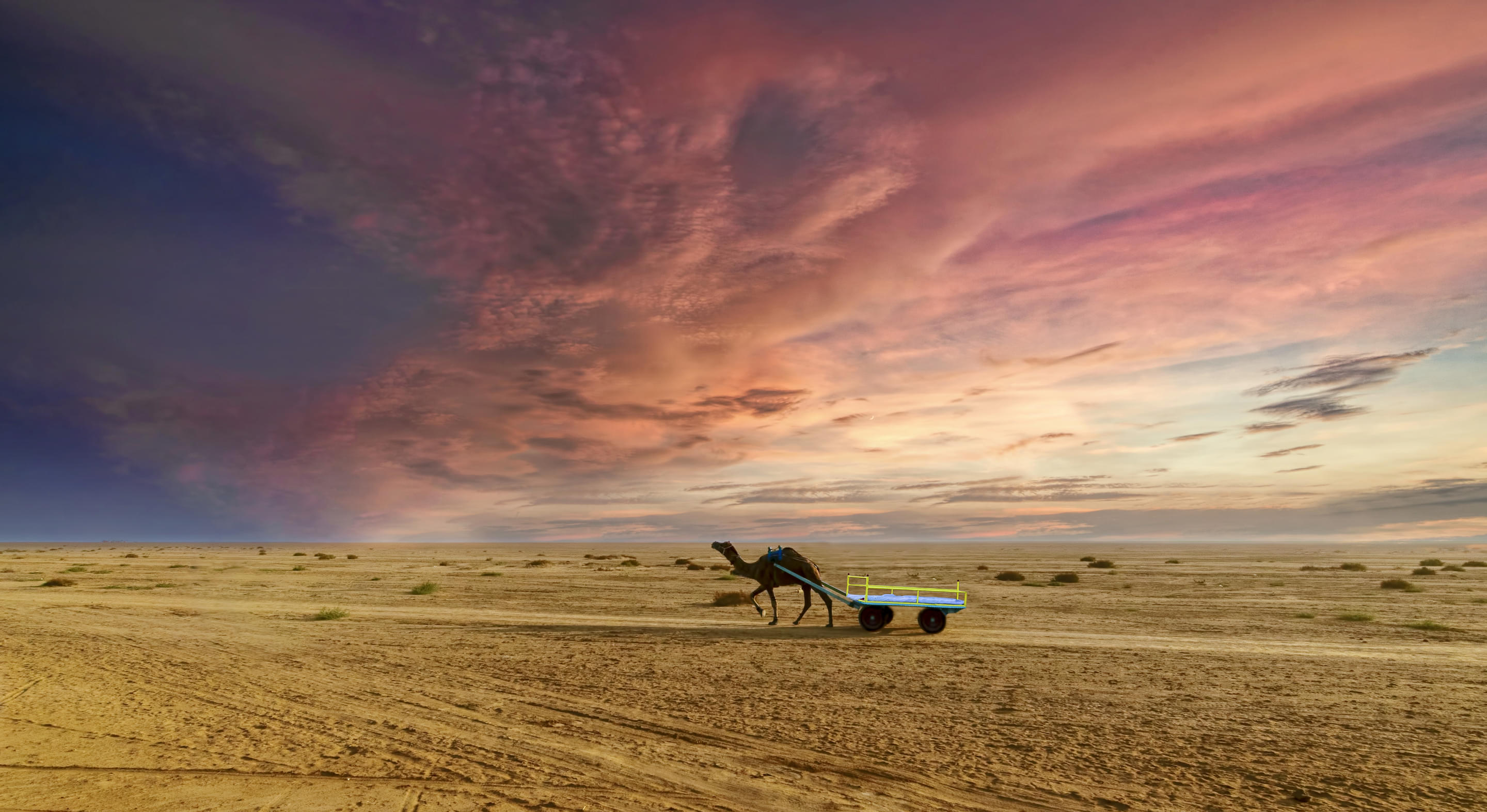 Rann Of Kutch Overview