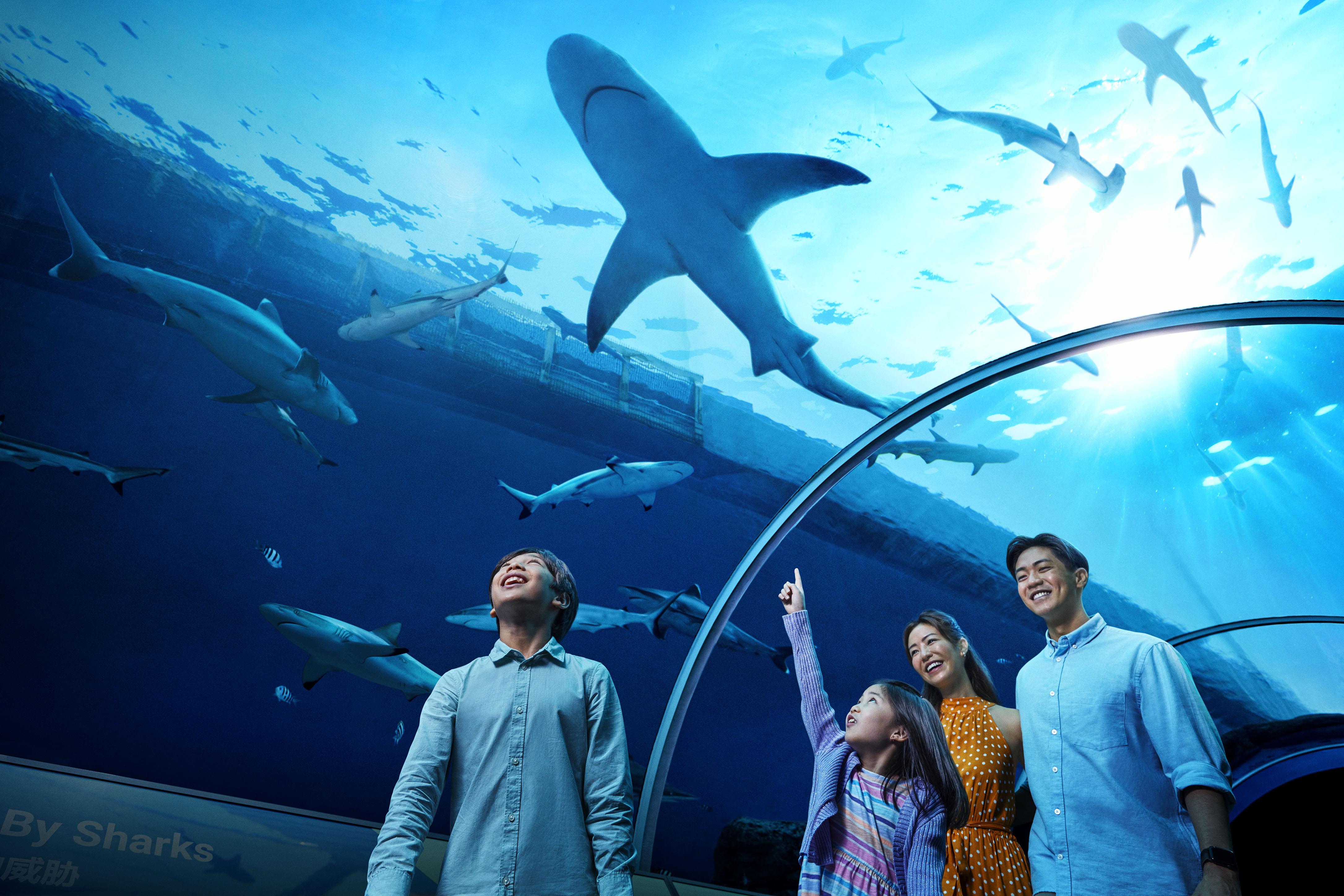 Tourists in the S.E.A. Aquarium, Singapore