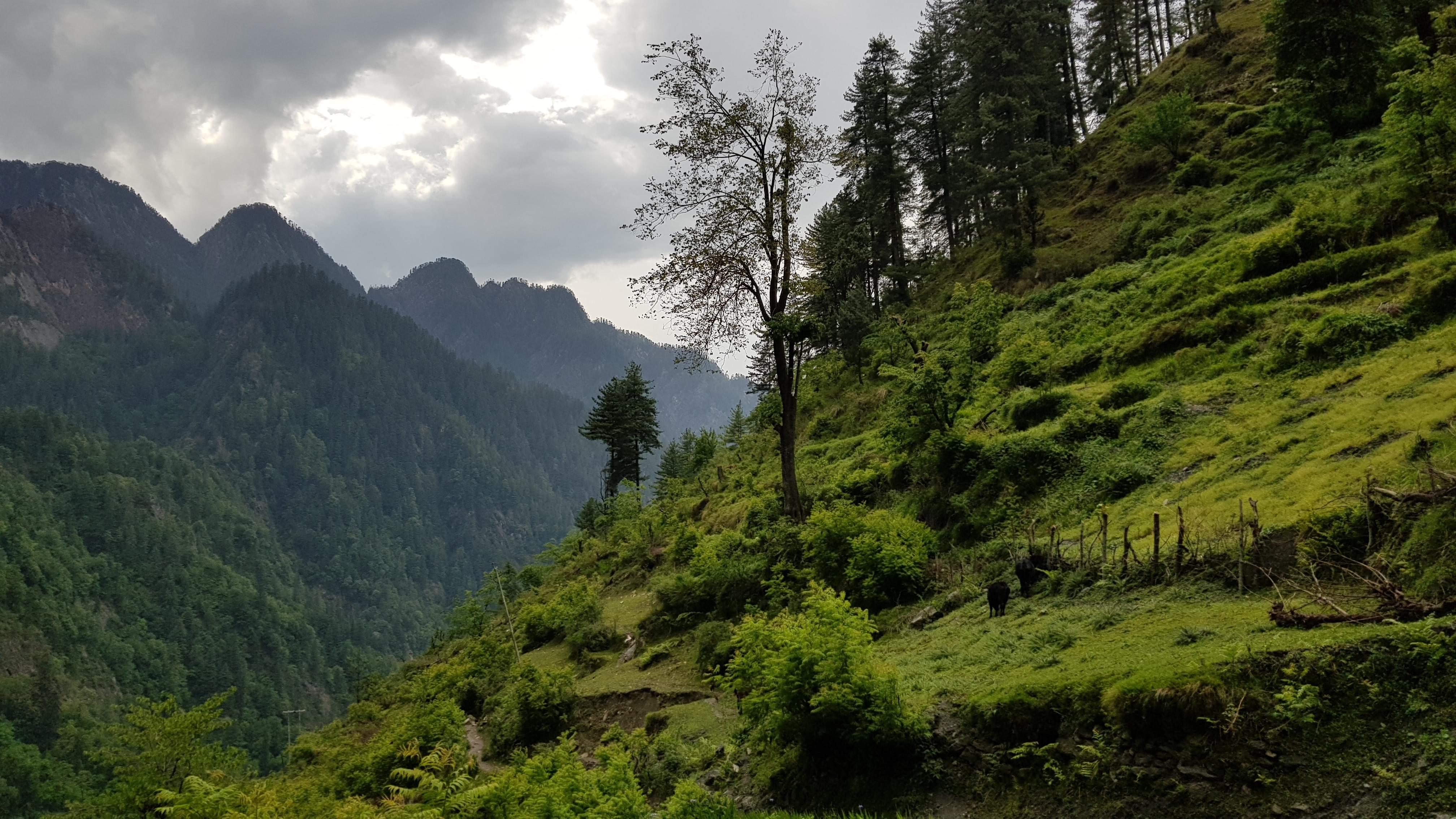 Kasol Packages from Hyderabad | Get Upto 40% Off