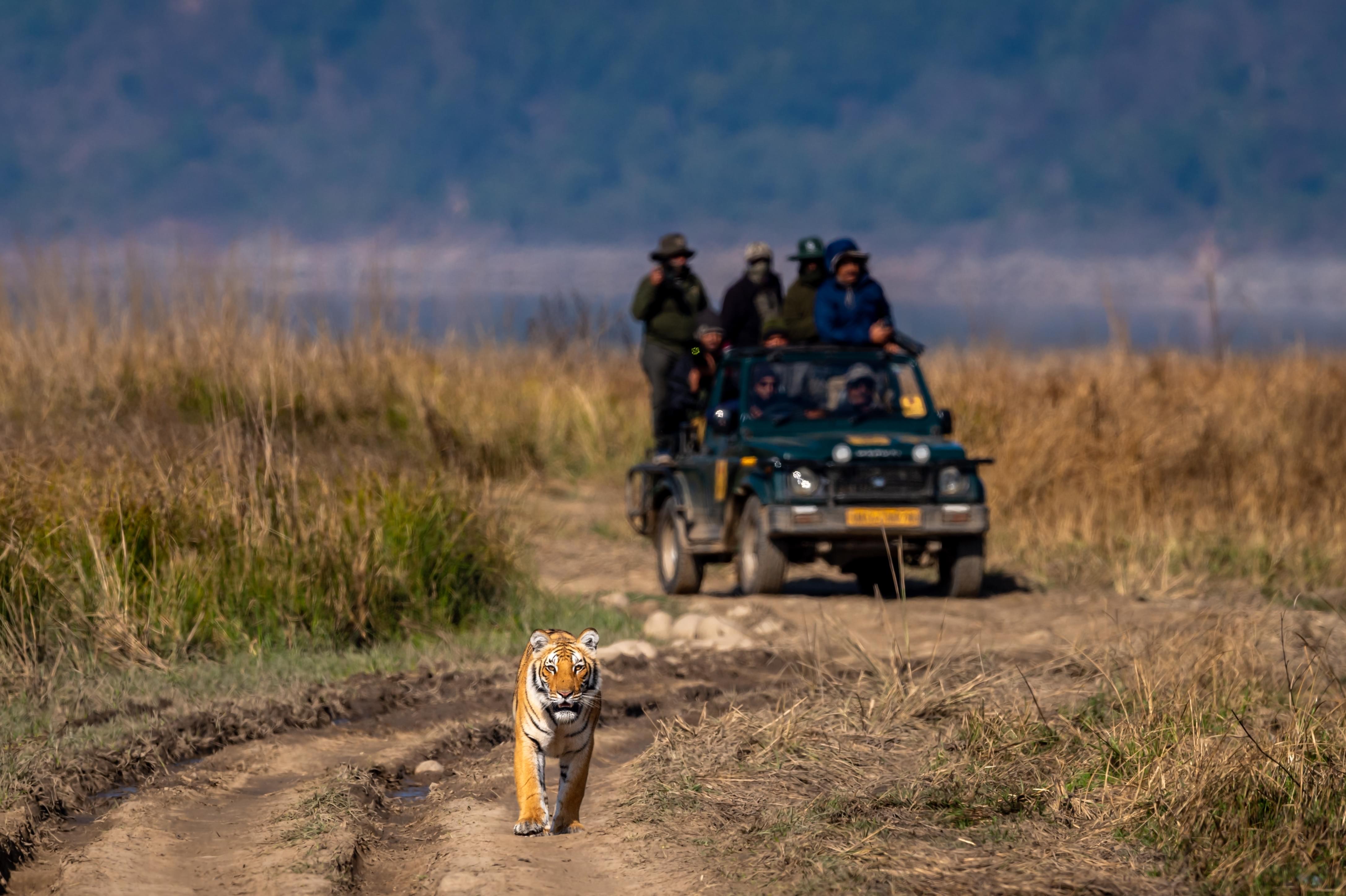 Jim Corbett