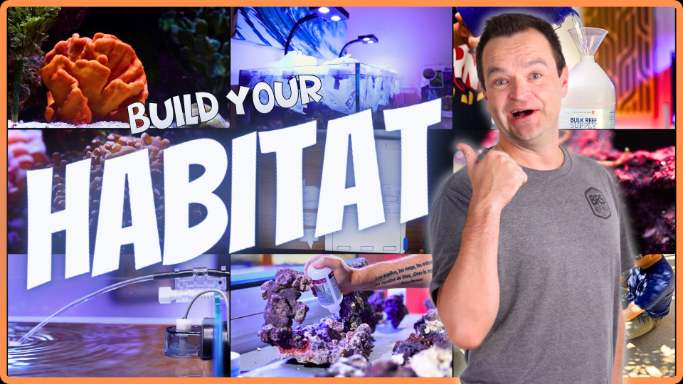 How to Build the PERFECT Saltwater Aquarium Habitat EP: 2