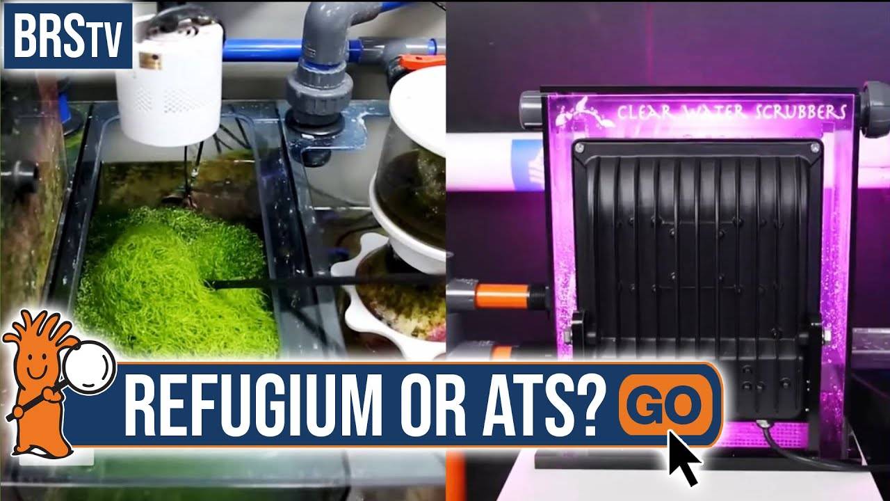 Natural Reef Tank Filtration: What's The Difference Between Algae Turf Scrubbers & Refugiums?