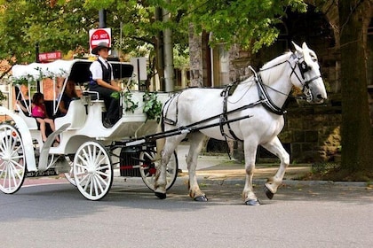 Carriage Ride in Central Park (VIP - PRIVATE) Since 1964™