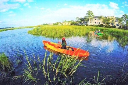 Hilton Head Morning Kayaking & Coffee Guided Tour