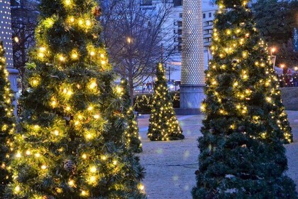 Magical Christmas Walking Tour in Atlanta