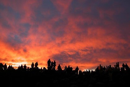 Maui Haleakala Sunrise Downhill Bike Tour med fjellryttere rangert som #1