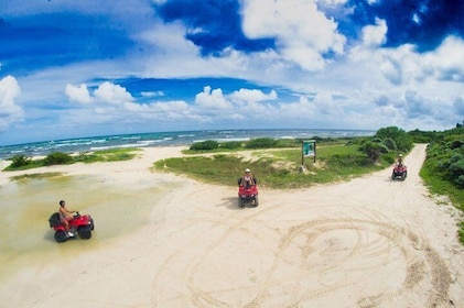 ATV Seashore Combo: Adventure to Mezcalitos plus Optioneel snorkelen bij Pl...