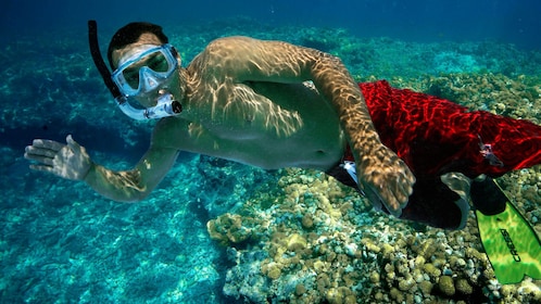 Snorkelavontuur bij koraalrif