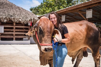 Xploration Animal Encounters from Punta Cana