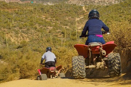 Guided Arizona Desert Tour by quad bike - Centipede Tour