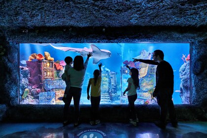 American Dream: SEA LIFE New Jersey Aquarium